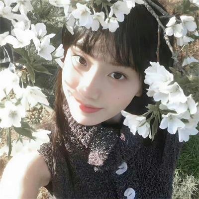 窗边的小豆豆